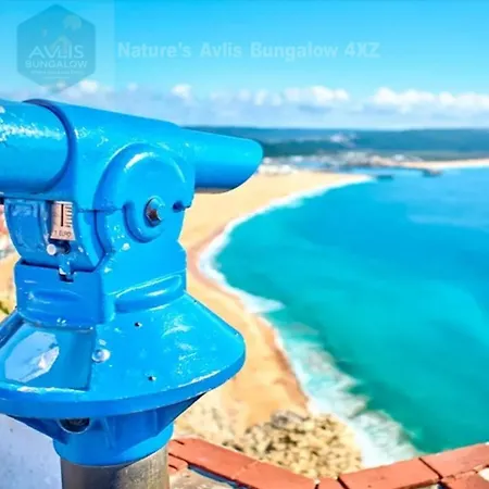 Kemp Casa Nature's Avlis 4xz