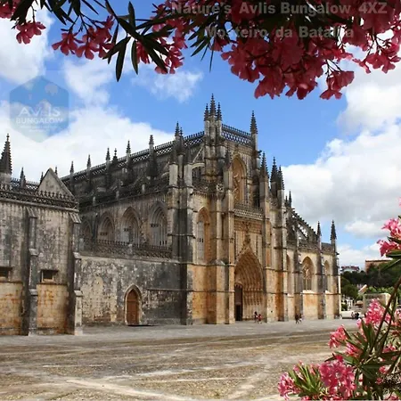 Kemp Casa Nature's Avlis 4xz *