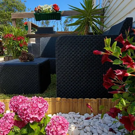 Casa Nature's Avlis 4xz Campsite Pataias
